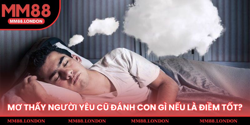 Mơ thấy người yêu cũ đánh con gì nếu là điềm tốt?